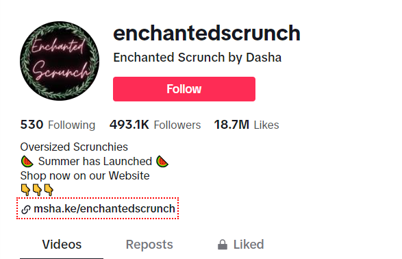 Enchanted 
