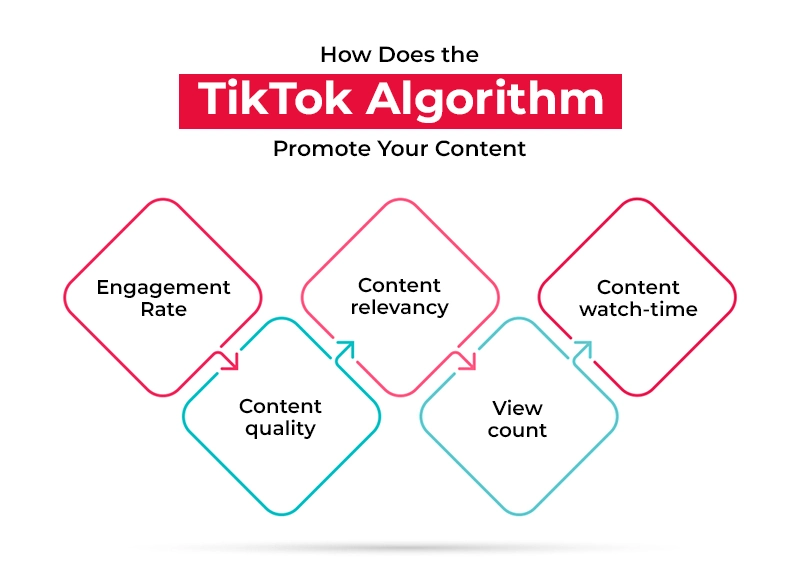 How does the TikTok algorithm promote your content?